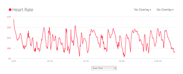 Heart rate dips and peaks a lot.